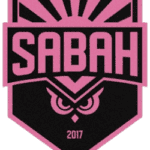 The Flying Horse pub logo with pink and black design, featuring a stylised owl and the year 2017.